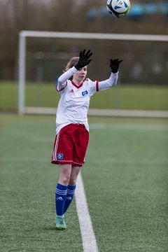 Bild 499 - wBJ Turnier HSV - St. Pauli - B.Moenchengladbach - Alst.Langenhorn